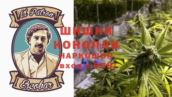 спиды Богородск