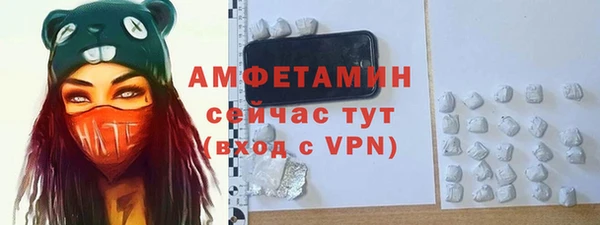 спиды Богородск