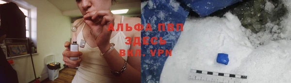 крисы Белокуриха