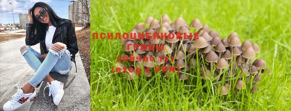спиды Богородск