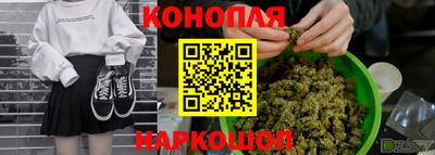 ПСИЛОЦИБИНОВЫЕ ГРИБЫ Берёзовский
