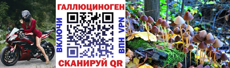 купить закладку  нарко площадка телеграм  Псилоцибиновые грибы Psilocybe  Беслан 
