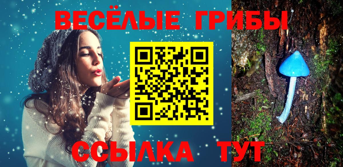 Псилоцибиновые грибы Psilocybe  Псилоцибиновые грибы прущие грибы  Вход с VPN  закладка  Беслан 
